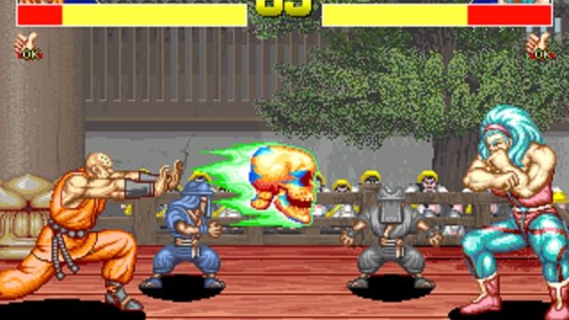 Power Instinct 5