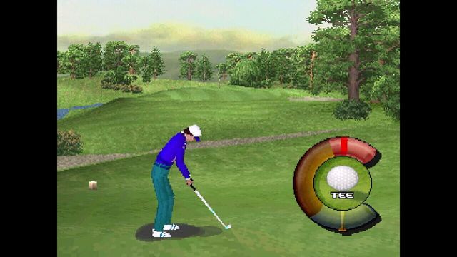 Actua Golf 1