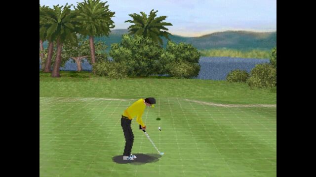 Actua Golf 3