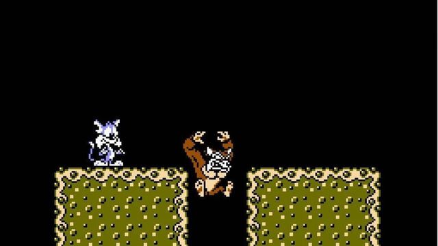 Tiny Toon Adventures 3