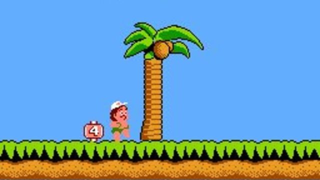 Hudson's Adventure Island 5