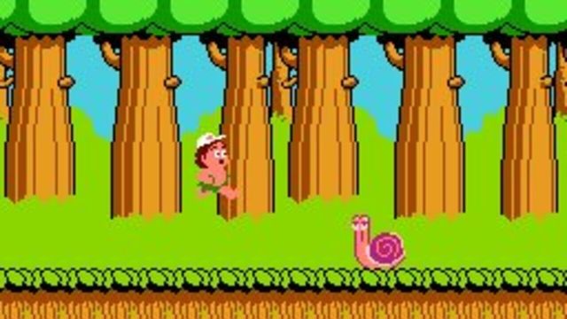Hudson's Adventure Island 6