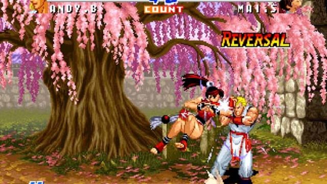 Real Bout Fatal Fury 2: The Newcomers 2