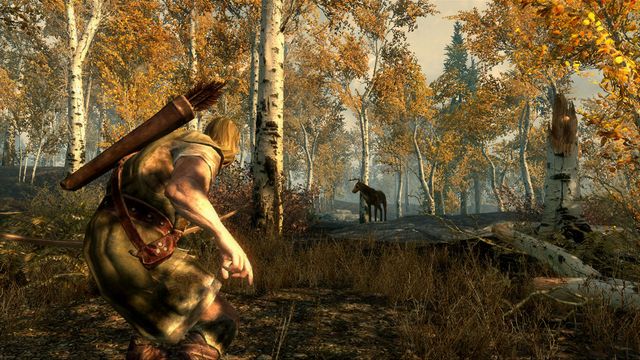 The Elder Scrolls V: Skyrim 5