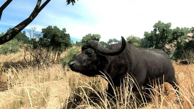 Cabela's Big Game Hunter 2010 2
