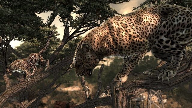 Cabela's Dangerous Hunts 2011 2