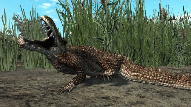 Cabela's Dangerous Hunts 2011 5