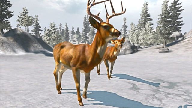 Cabela's Trophy Bucks 1