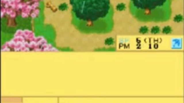 Harvest Moon DS Cute 2