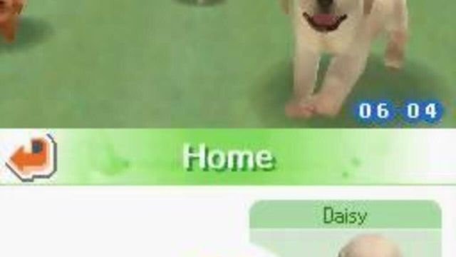 Nintendogs: Chihuahua & Friends 1