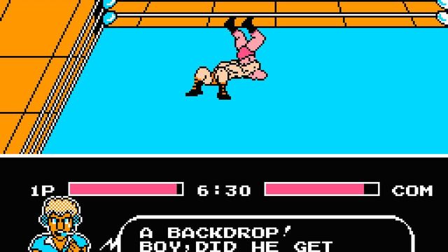Tecmo World Wrestling 3