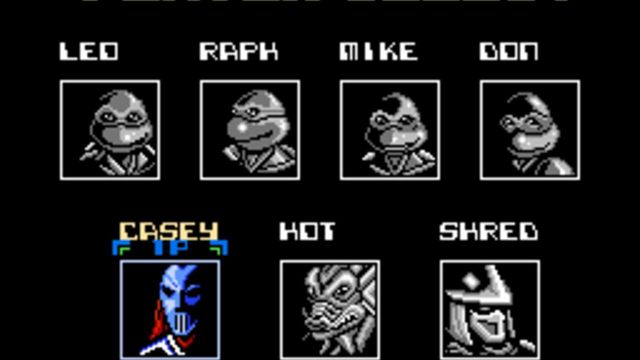 Teenage Mutant Ninja Turtles: Tournament Fighters 4