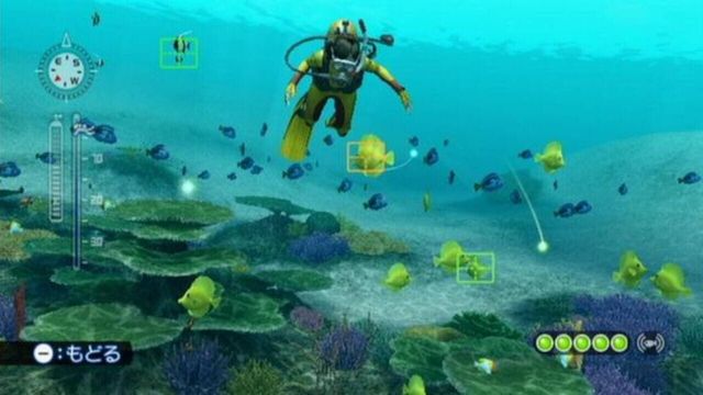 Endless Ocean: Blue World 2