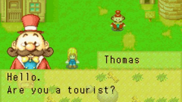 Harvest Moon: More Friends of Mineral Town 3