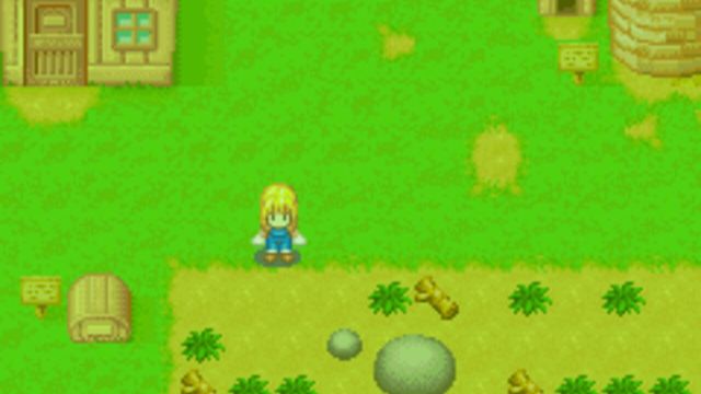 Harvest Moon: More Friends of Mineral Town 4