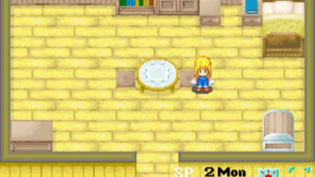 Harvest Moon: More Friends of Mineral Town 5