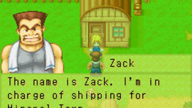 Harvest Moon: More Friends of Mineral Town 6