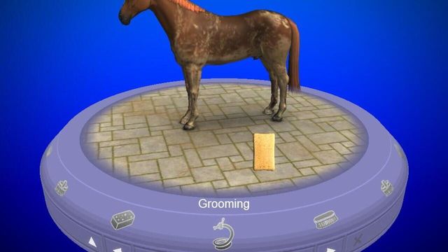 My Horse & Me 2