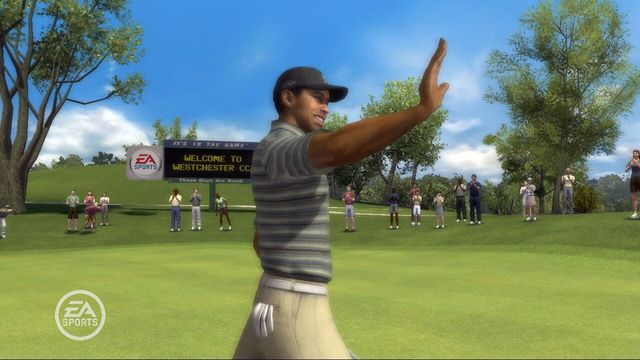 Tiger Woods PGA Tour 08 4
