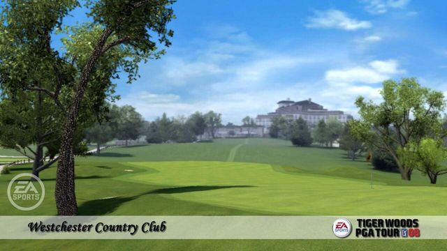 Tiger Woods PGA Tour 08 5