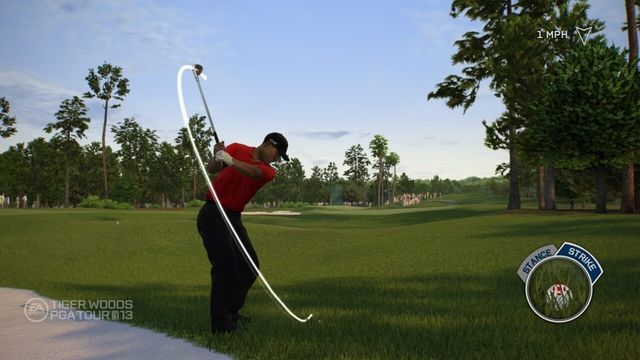 Tiger Woods PGA Tour 13 5