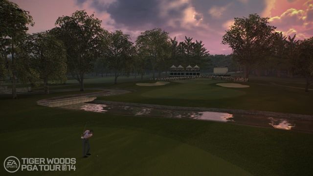 Tiger Woods PGA Tour 14 2