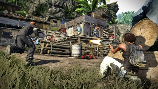 Far Cry 3 2