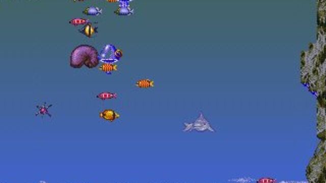 Ecco the Dolphin 2
