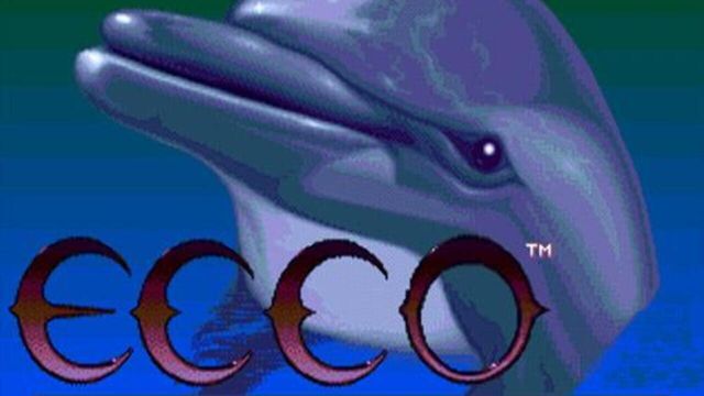 Ecco the Dolphin 4