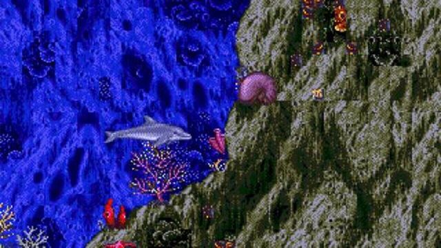 Ecco the Dolphin 5