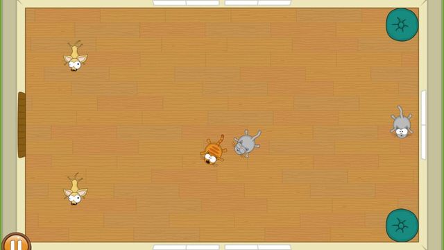 FlatFatCat 5