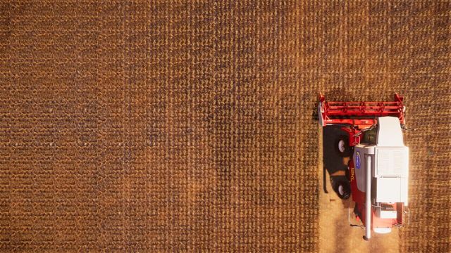 Real Farm 4