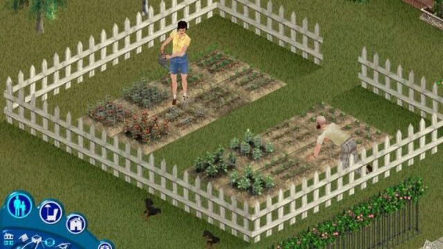 The Sims: Unleashed 5