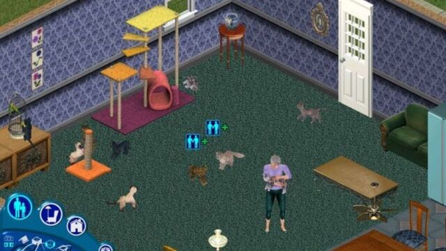 The Sims: Unleashed 6