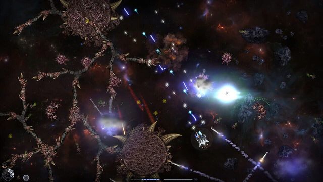 Stellatum 4