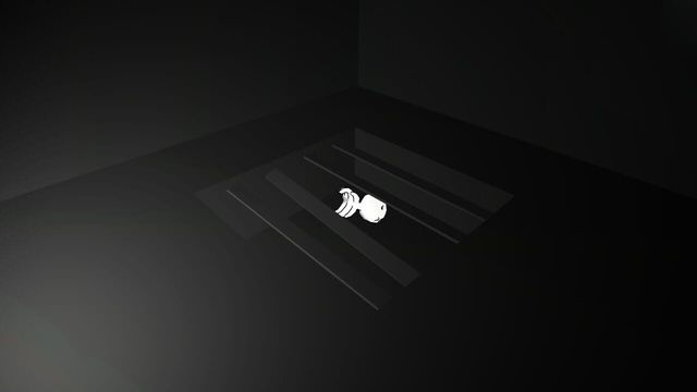 Bouncing Duck Simulator 5