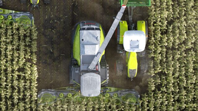 Professional Farmer: Cattle and Crops 2