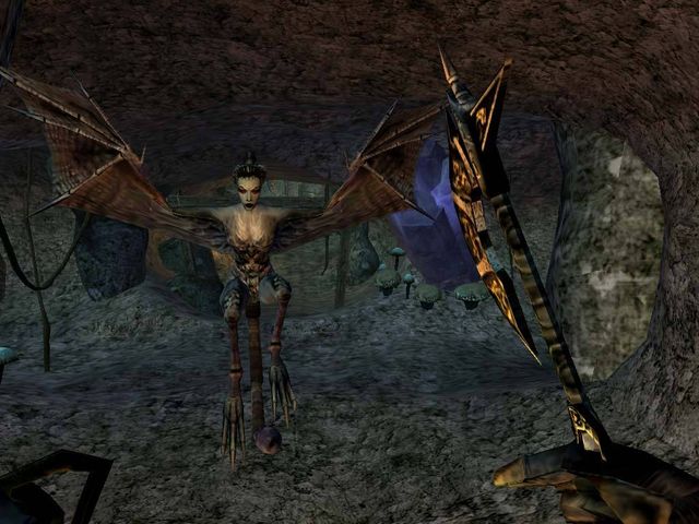The Elder Scrolls III: Morrowind 6