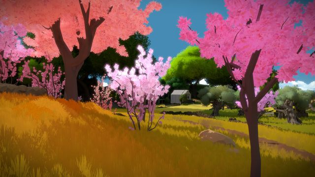The Witness 4