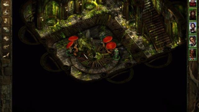 Icewind Dale: Heart of Winter 3