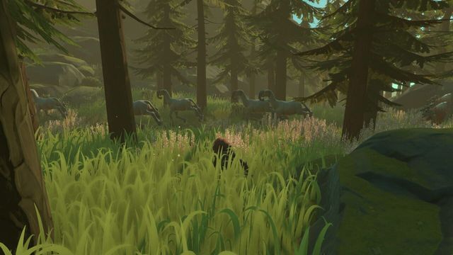 Pine 4