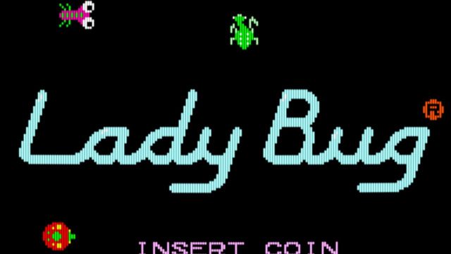 Lady Bug 4