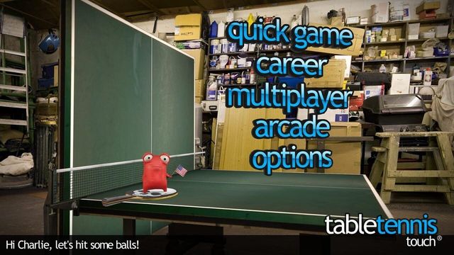 Table Tennis Touch 4