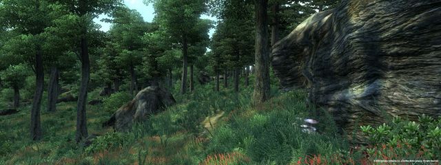 The Elder Scrolls IV: Oblivion 2
