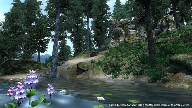 The Elder Scrolls IV: Oblivion 3