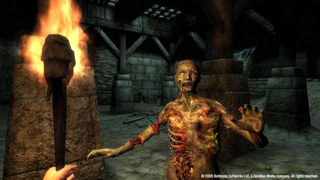The Elder Scrolls IV: Oblivion 6
