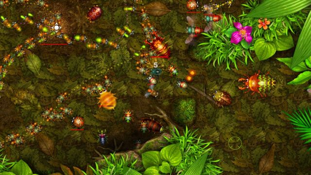 Anthill 4