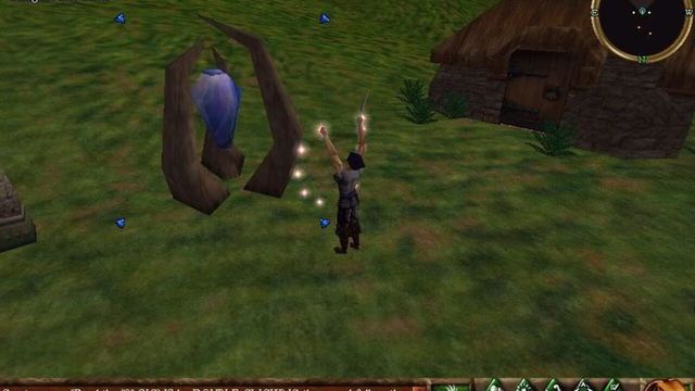 Asheron's Call 4