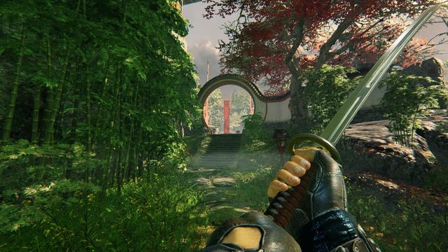 Shadow Warrior 6