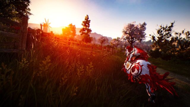 Black Desert 6